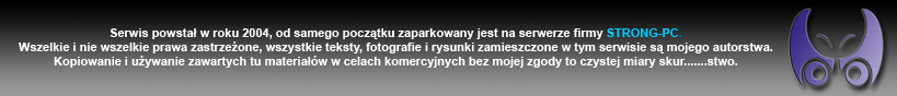 www.motylasty.pl