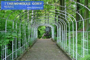 image209.jpg